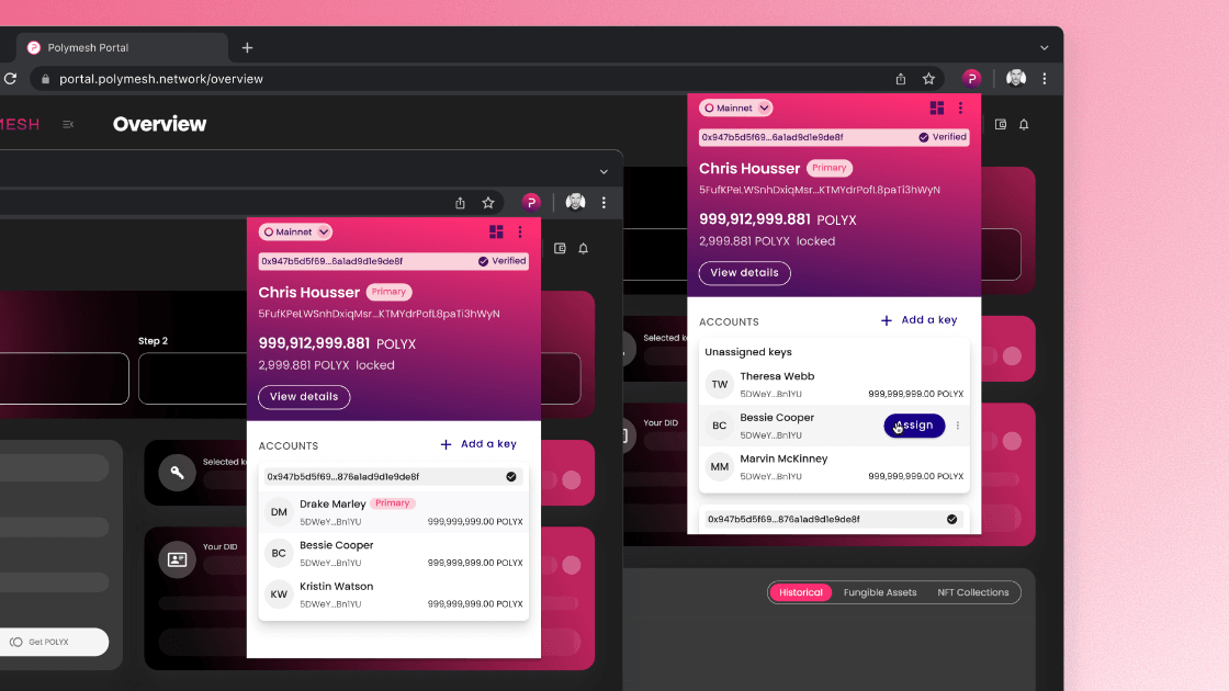 Polymesh Wallet account view over the Polymesh web application.